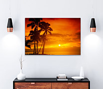 Obraz Horúce slnko za palmami 1389